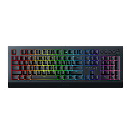 /imgs/keyboards/01_razer-cynosa.png