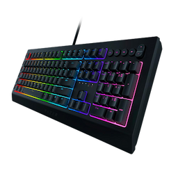 /imgs/keyboards/02_razer-cynosa.png
