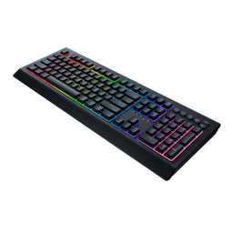 /imgs/keyboards/04_razer-cynosa.png