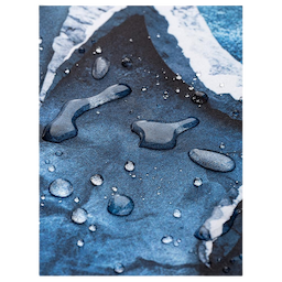 /imgs/mousepads/02_mp-husky.png